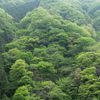 P1015760