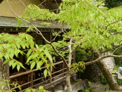 P1015646