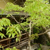 P1015646