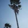 P1039821