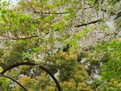 P1013782