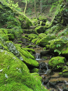 P1062925