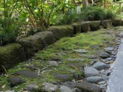 P1014274