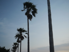 P1039818