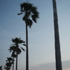 P1039818