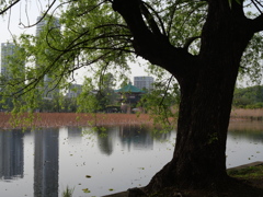 P1015407