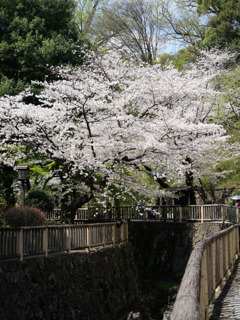 P1013336