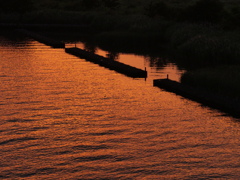 夕景