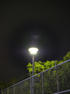 P1013090