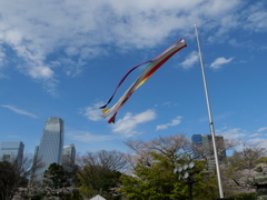P1013904