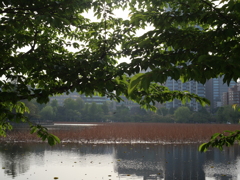 P1015391