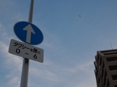 P1039793