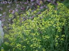 P1015557