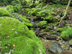 P1062921
