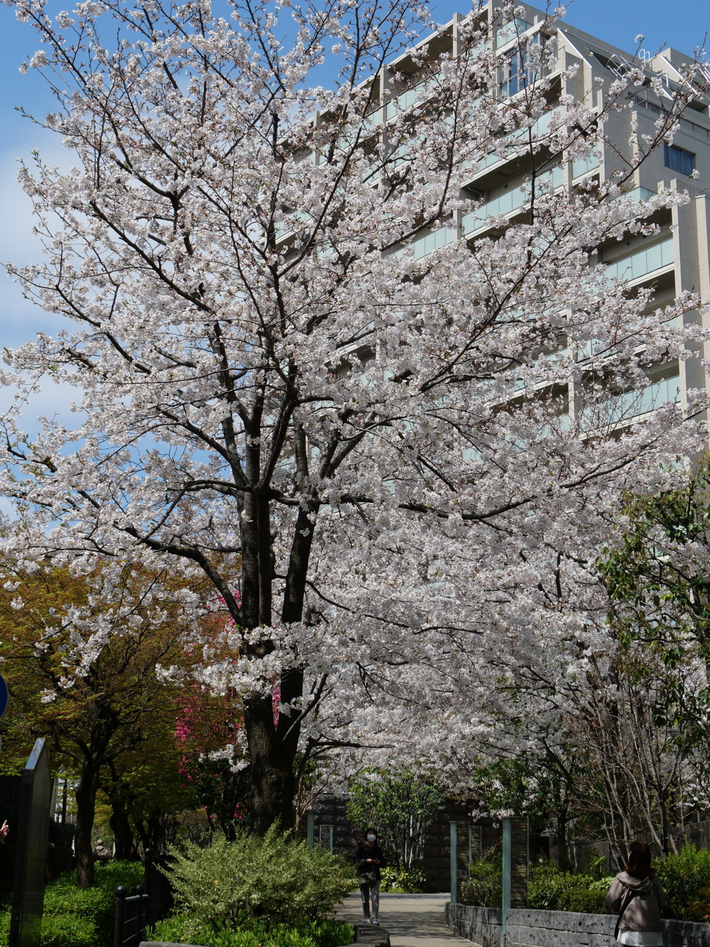 P1013344