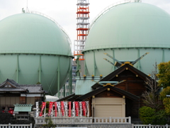 P1011966