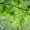 P1015840