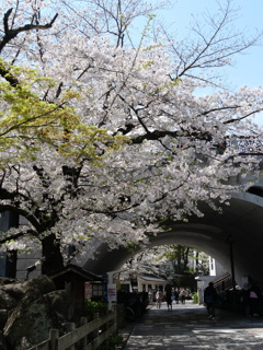 P1013341