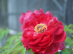 P1014986