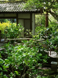 P1014311
