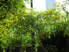 P1015351