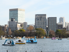 P1000144
