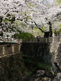 P1013337