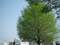 P1015167