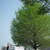 P1015167