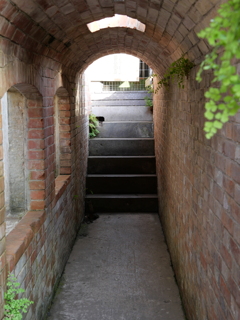 P1012809