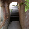 P1012809