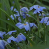 P1014359