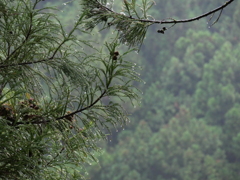 P1015827