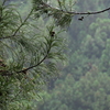 P1015827