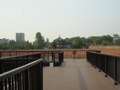 P1015432