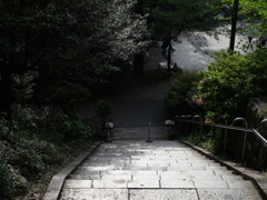 P1015278