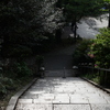 P1015278