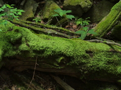 P1062927