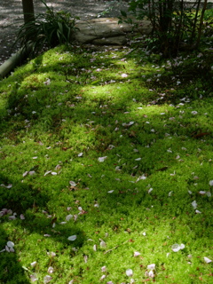 P1014323
