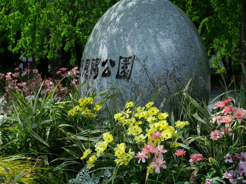 P1015086