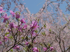 P1014279