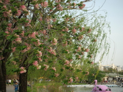 P1015556