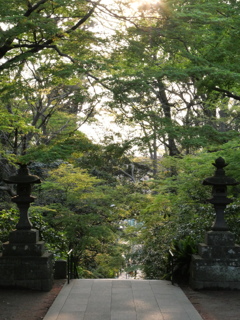 P1014589