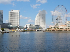 P1000684