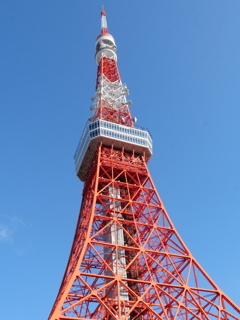 P1013990