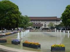 P1014906