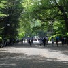 P1015181
