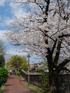 P1013377