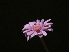 P1000021