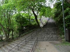 P1015699
